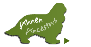 Ahnen