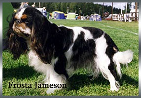 Frosta-Jameson