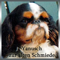 Yanusch-zur-alten-Schmiede