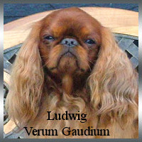 ludwig_ahnen